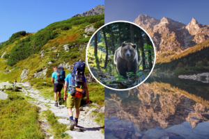 Lietuvių pamėgtoje Lenkijos vietoje – kraupus incidentas: nufilmavo, kaip lokys persekiojo turistą