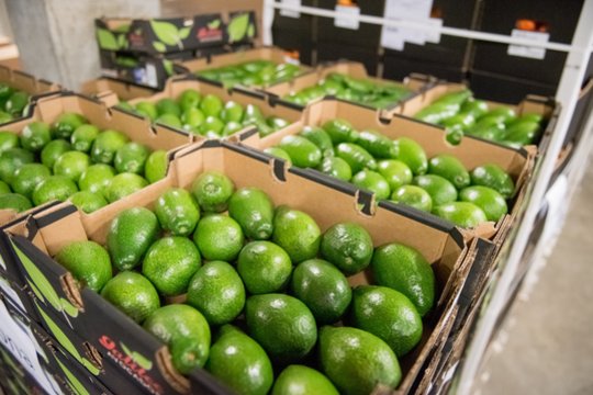 Naujovė „Tesco“ parduotuvėse Jungtinėje Karalystėje: išbandomi skaitytuvai avokadų prinokimui nustatyti