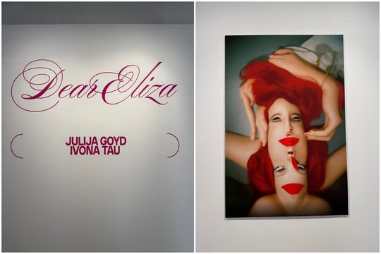 Julijos Goyd ir Ivonos Tau paroda „Deal Eliza“ Pamėnkalnio galerijoje