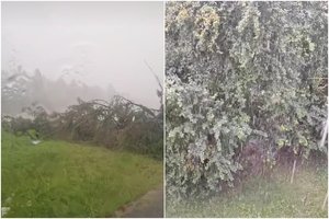 Dalyje Lietuvos – liūtys ir nuvirtę medžiai