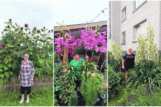 Pakuonis virto rekordų knyga: neįtikėtina, kokių gėlių čia vietiniai užaugina