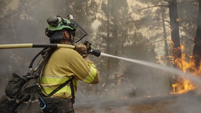 Įspėja dėl dažnėjančių miškų gaisrų: rizika – net 40 kartų didesnė