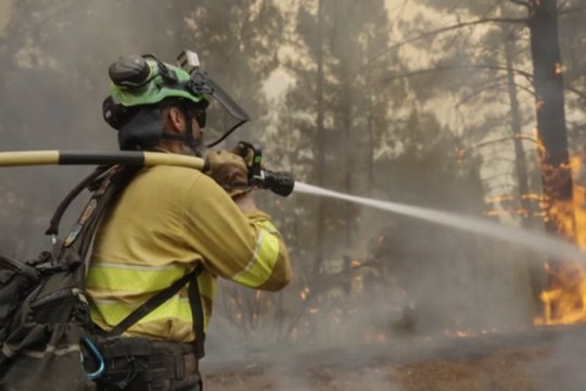 Įspėja dėl dažnėjančių miškų gaisrų: rizika – net 40 kartų didesnė