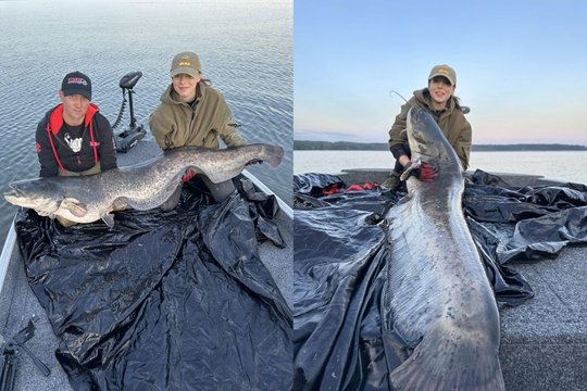 Kauno mariose Justina sugavo gyvenimo laimikį – ištraukė beveik 2 m ilgio šamą