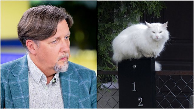 Vis daugiau porų vaikus keičia augintiniais: „KIKA Group“ atstovas atskleidė, kaip tai atsispindi versle