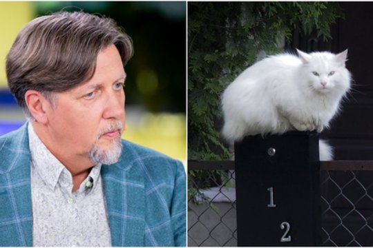 Vis daugiau porų vaikus keičia augintiniais: „KIKA Group“ atstovas atskleidė, kaip tai atsispindi versle