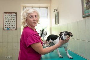 „Nuaro“ vadovė prakalbo apie prieglaudas gaubiančius mitus: „Negaliu garantuoti, kad kitos įstaigos laikosi tokių pačių nuostatų“