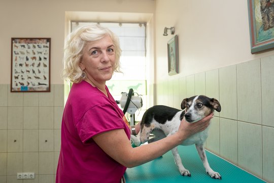 „Nuaro“ vadovė prakalbo apie prieglaudas gaubiančius mitus: „Negaliu garantuoti, kad kitos įstaigos laikosi tokių pačių nuostatų“