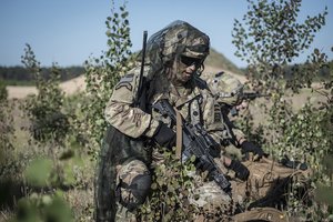 D. Matulionis: šiandien mums svarbiausias prioritetas yra Amerikos karių Lietuvoje išlaikymas