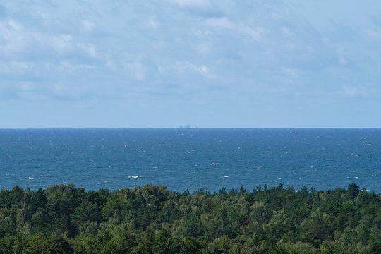 Sidnėjaus paplūdimyje banglentininką užpuolė ir pražudė didelis ryklys