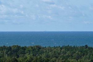 Sidnėjaus paplūdimyje banglentininką užpuolė ir pražudė didelis ryklys