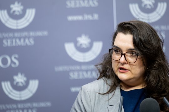 I. Segalovičienė prakalbo apie vėluojančias įgyvendinti rekomendacijas: įvardijo priežastis