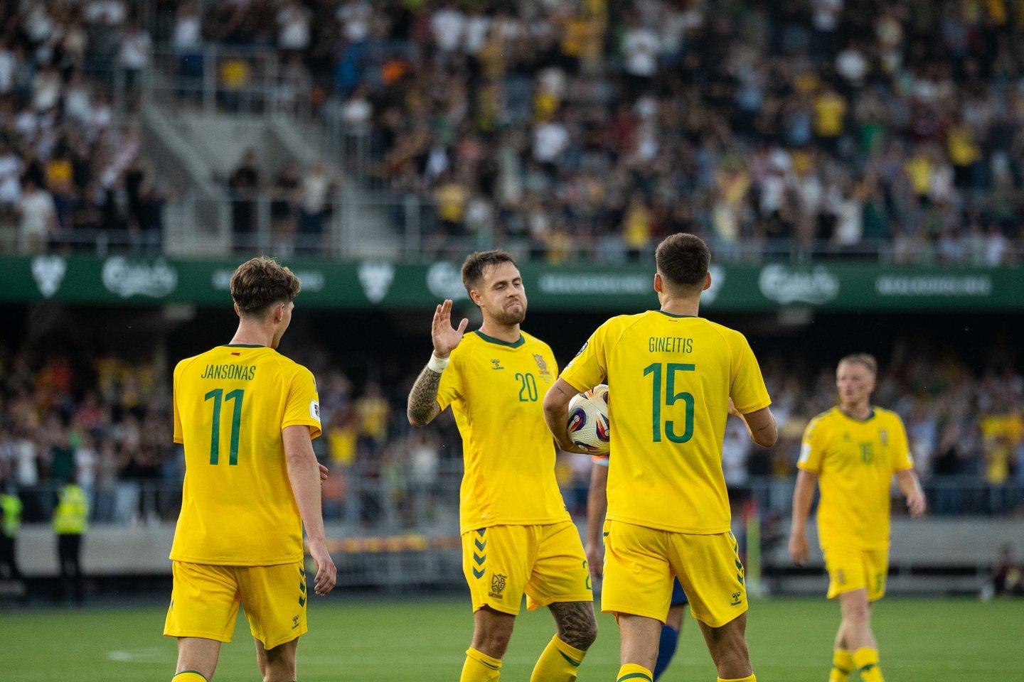 Lietuva – Nyderlandai<br> G. Bitvinskas