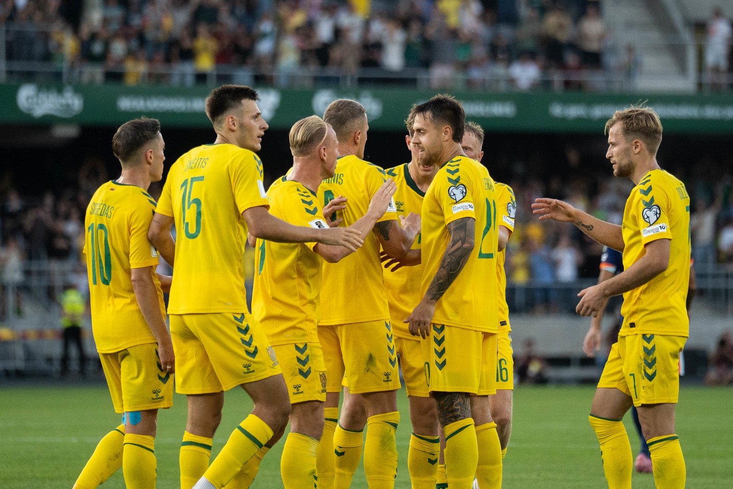 Lietuva – Nyderlandai<br> G. Bitvinskas