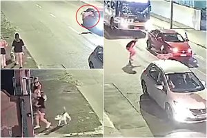 Išgelbėjo tik žaibiška reakcija: iš automobilio iššokęs šuo skuodė link praeivių augintinių