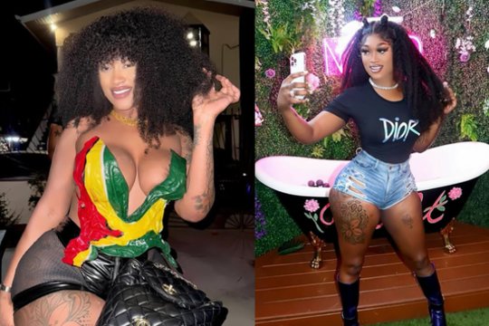 Garsi nuomonės formuotoja išgyvena siaubą: buvo pašauta prie pat namų, būklė kritinė