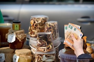 Lietuviai įsigudrino pardavinėti grybus džiovinimui: specialistai įspėja apie grėsmes