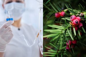 Praėjusią savaitę – du apsinuodiję mažamečiai: medikai įspėja apie mirtinai pavojingas uogas