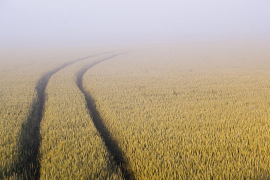Neramus sezonas ūkininkams: kokie iššūkiai ir pamokos svarbiausi šiemet?