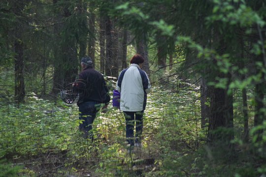 Grybavimo sezoną įvertinę specialistai pasakė, ko dar šiuo metu ieškoti miške ir kaip rasti kelią paklydus
