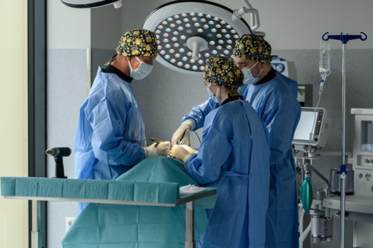 Moderniausia Lietuvoje referentinė veterinarijos ligoninė – jau Klaipėdoje: kai kurios paslaugos bus teikiamos pirmą kartą