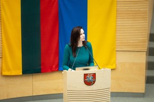 Seime – kandi A. Širinskienės pastaba I. Ruginienei: „Būtų smagu, kad finansų ministras nesufleruotų kaip pradinukei“