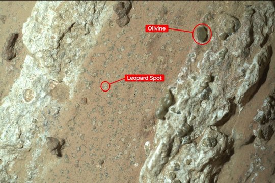 NASA teigia radusi „aiškiausią ženklą“ apie kadaise Marse egzistavusią gyvybę