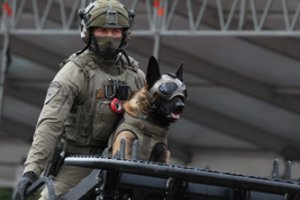 Su gaujomis nesusitvarkantis Briuselis rado sprendimą: seks D. Trumpo pavyzdžiu