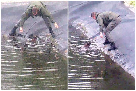 Meškėną gelbėjusiam pasieniečiui – neeiliniai išbandymai