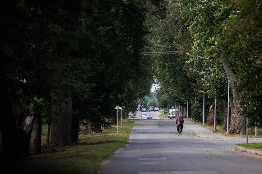 Lrytas iš gaisro Vilniaus pašonėje prieigų: ką išgirdo ir apie ką pirmiausia pagalvojo gyventojai