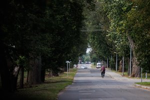 Lrytas iš gaisro Vilniaus pašonėje prieigų: ką išgirdo ir apie ką pirmiausia pagalvojo gyventojai