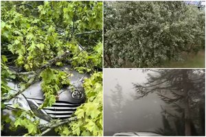 Dalyje Lietuvos stiprus vėjas jau pridarė didelių bėdų: apgadino automobilius, užtvėrė kelius