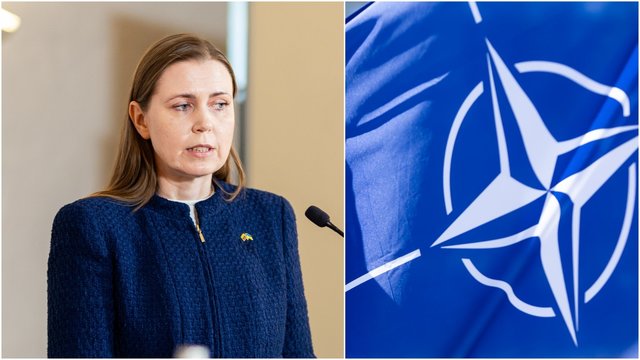 Kaimynėms apribojant oro eismą prie sienos su Rusija ir Baltarusija – D. Šakalienė įvardijo, ką darys Lietuva