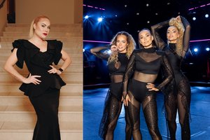 Pykčiai tarp „Šeškių“ ir N. Pareigytės netyla: teismo posėdis sėkmingas jos vyrui