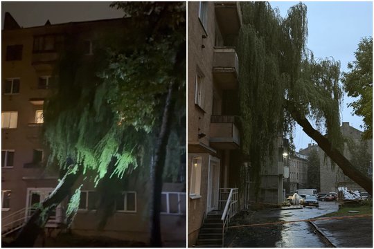 Vėjas medį įvertė į vilniečių balkoną – tarp krūvos iškvietimų skambėjo ir kaltinimai institucijoms