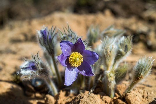 5 mitai apie poligonus: ką sako gamtos mokslas