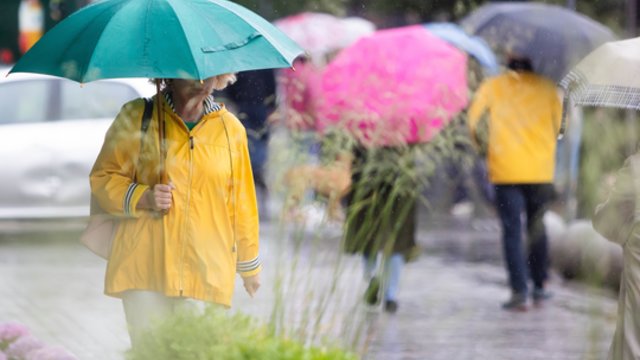 Orai vis labiau primins rudenį: be skėčio geriau neišeiti iš namų