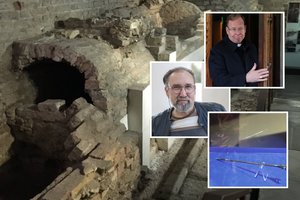 Apie karalių lobį prabilo žymus paveldosaugininkas V. Karčiauskas: „Kažkas nuslėpta“