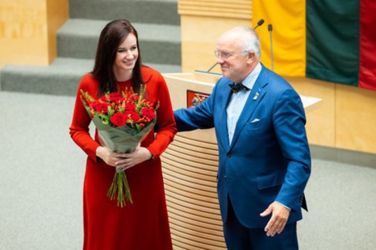 „Keli šaukštai deguto“: įvertino, kuo rizikuoja socialdemokratai ir ką užmiršta I. Ruginienės kritikai