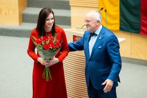 „Keli šaukštai deguto“: įvertino, kuo rizikuoja socialdemokratai ir ką užmiršta I. Ruginienės kritikai