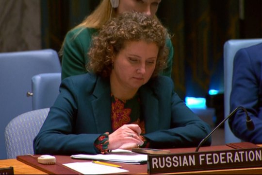 Lenkijos atstovui rodant dronų padarinių nuotraukas, Rusijos pusė net nesiklausė: naršė telefone