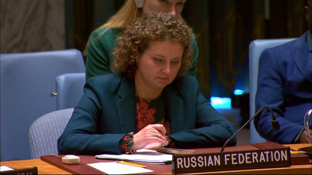 Lenkijos atstovui rodant dronų padarinių nuotraukas, Rusijos pusė net nesiklausė: naršė telefone