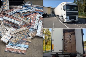 Kontrabaninkų priedanga buvo demaskuota: muitininkai sulaikė 100 tūkst. pakelių rūkalų, slėptų paprikų krovinyje