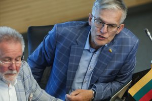 J. Sabatauskas pasiūlė, kaip ištaisyti „čekutininkams“ skirtų BK pataisų prieštaravimą Konstitucijai