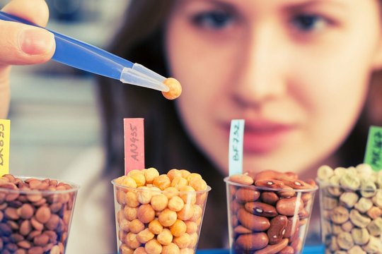 Pesticidai, „chemija“ ir GMO – mokslininkas atsakė, kas iš tiesų kelia didžiausią pavojų sveikatai