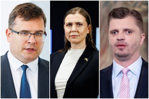 Politikų ambicijos virto atviru karu: vėl įgėlė D. Šakalienei