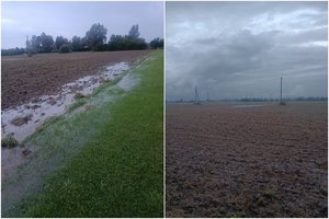 Dalį Lietuvos skandino liūtys: kai kur per dieną iškrito ir mėnesio norma