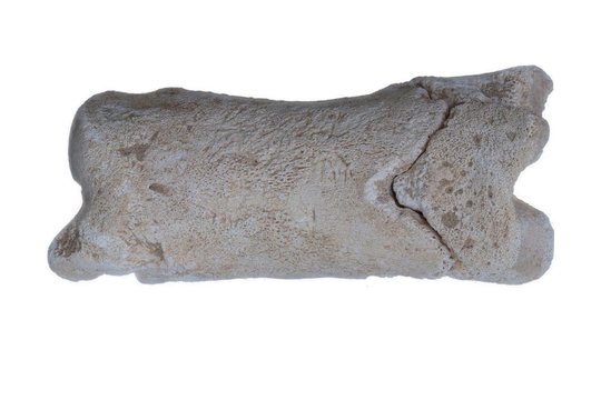 Įstabusis senovės Egipto radinys: mokslininkai ištyrė 3300 metų senumo „policininko“ švilpuką