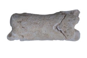 Įstabusis senovės Egipto radinys: mokslininkai ištyrė 3300 metų senumo „policininko“ švilpuką