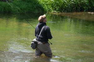 Žvejams – daugiau draudimų: įsigaliojo pakeitimai dėl lašišų ir šlakių